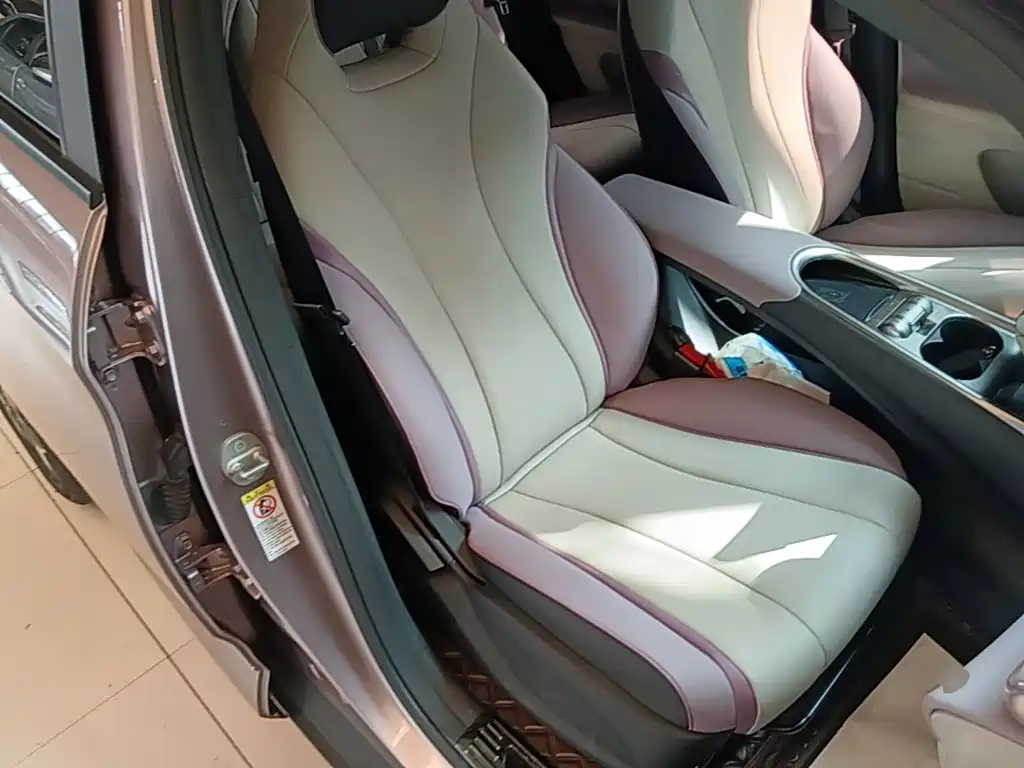 BYD Dolphin 2022 2021 Model 405km Fashion Edition