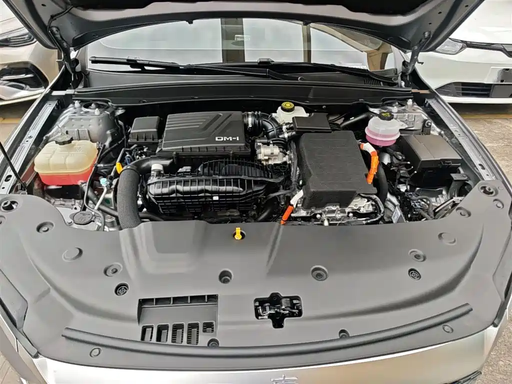 BYD Qin PLUS 2024 Glory Edition DM-i 55KM Leading фото 20