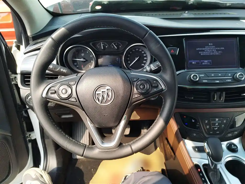 Buick Envision Plus 2018 20T 2WD Luxury фото 11