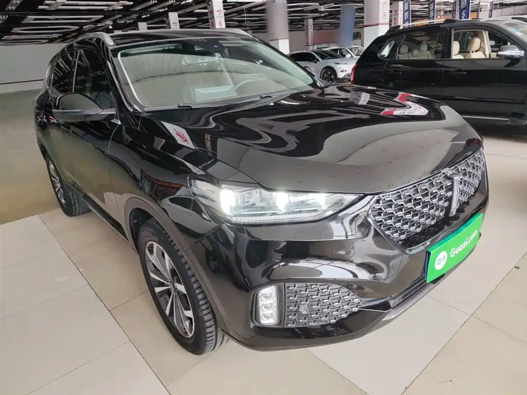 WEY VV6 2020 2020 2.0T 2WD Smart Protection+