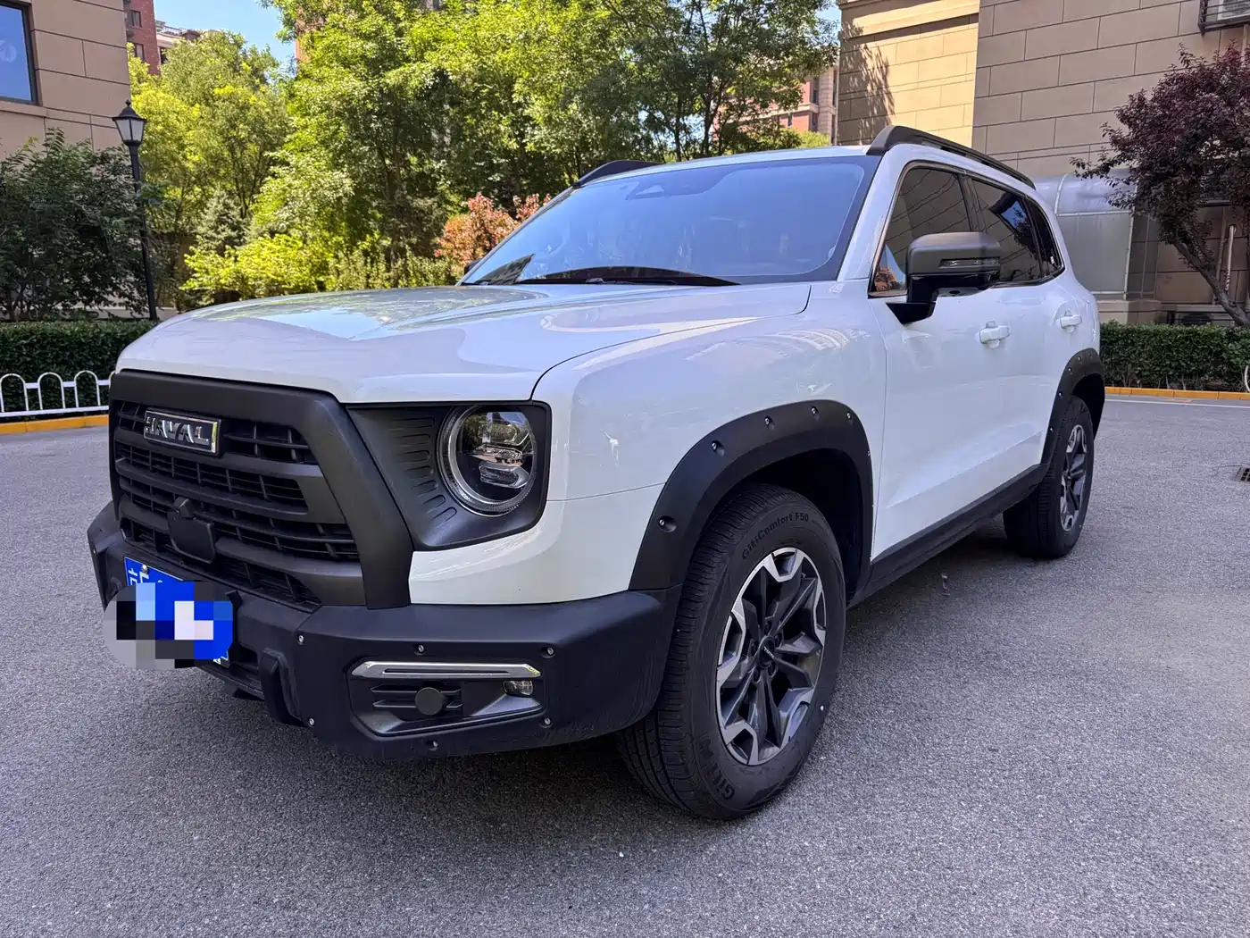 Haval Big Dog 2024 2.0T DCT Chinese Rural Dog Edition