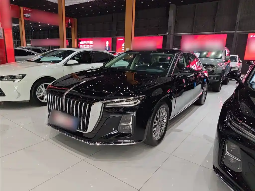 Hongqi H5 2025 1.5T DCT Flag Rhythm 500,000 Units Memorial Edition фото 2