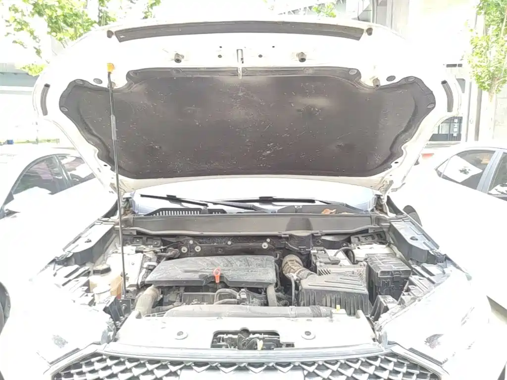 Haval H6 2021 3rd Generation 1.5T Auto 2WD Max фото 20