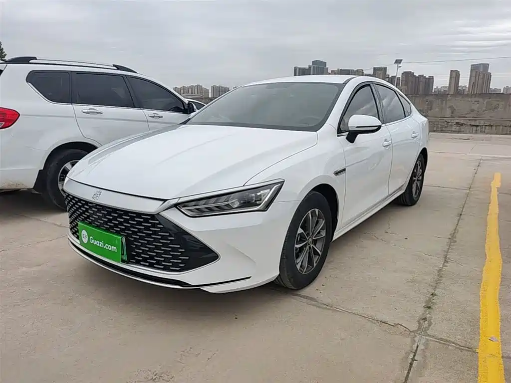 BYD Qin PLUS 2023 Champion Edition DM-i 55KM Leading фото 2