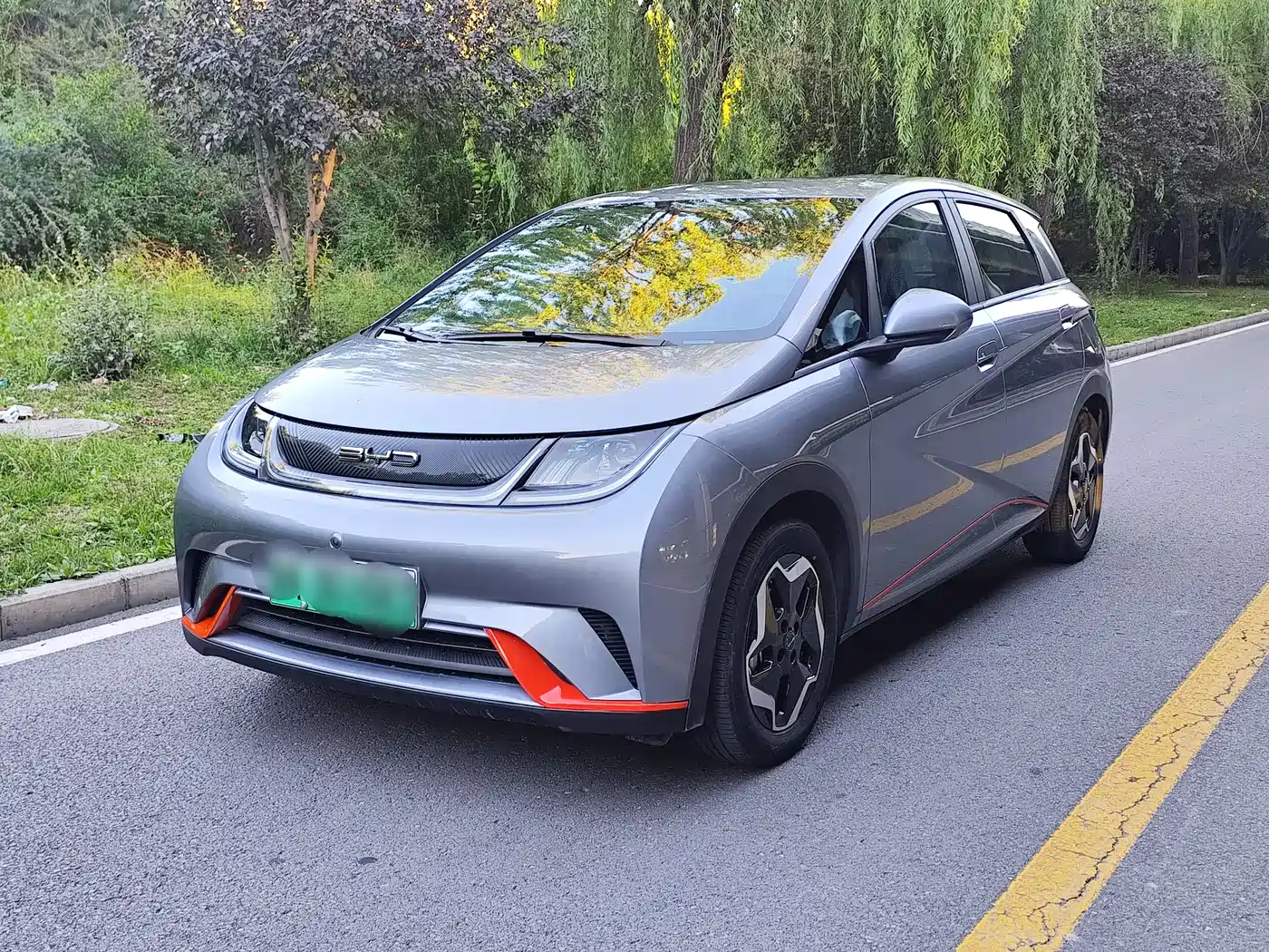 BYD Dolphin 2021 405km Freedom Edition