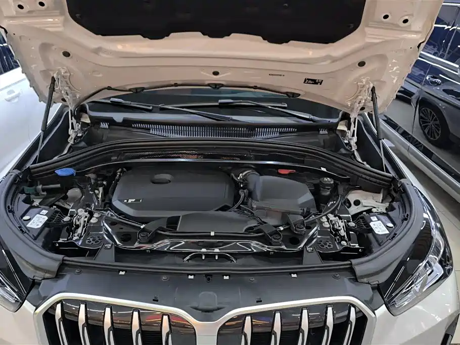 BMW X1 2023 xDrive25Li X Design Package фото 10