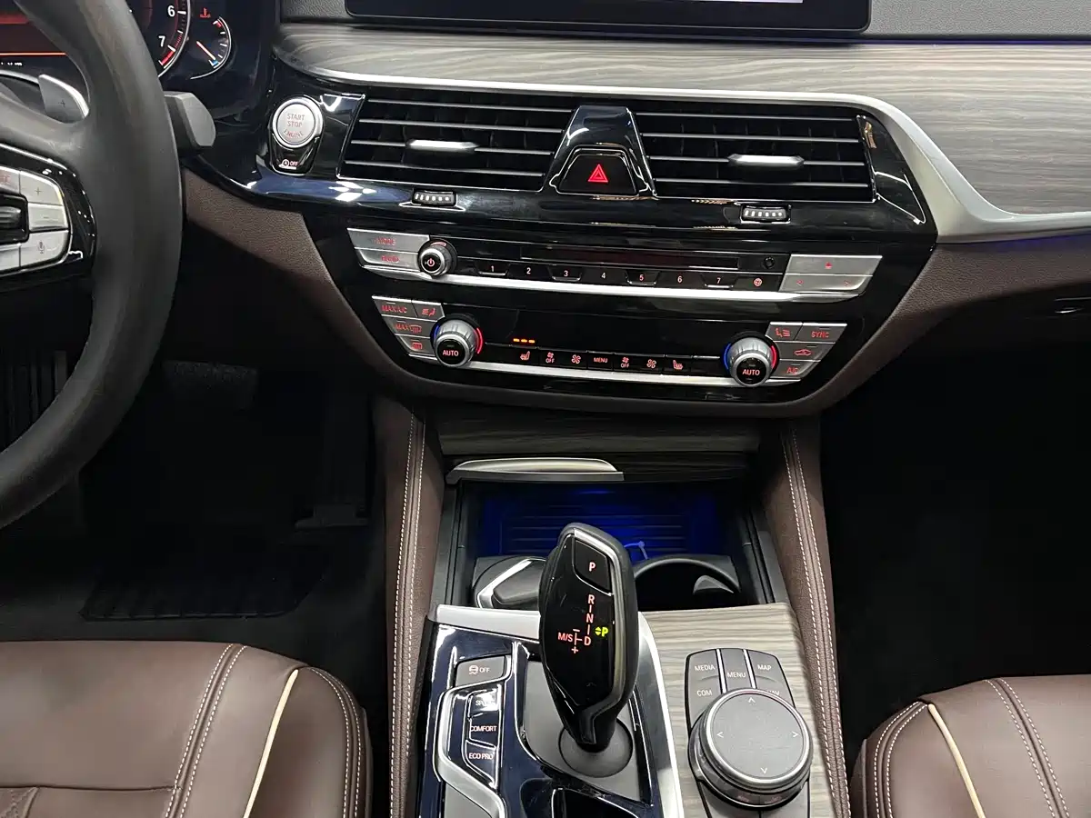 BMW 5 Series 2018 Facelift 530Li Leading Luxury Package фото 6