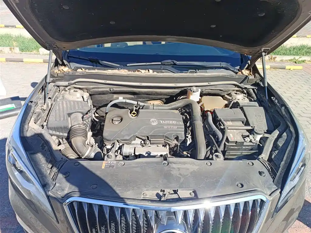 Buick Envision Plus 2016 20T 2WD Elite фото 11
