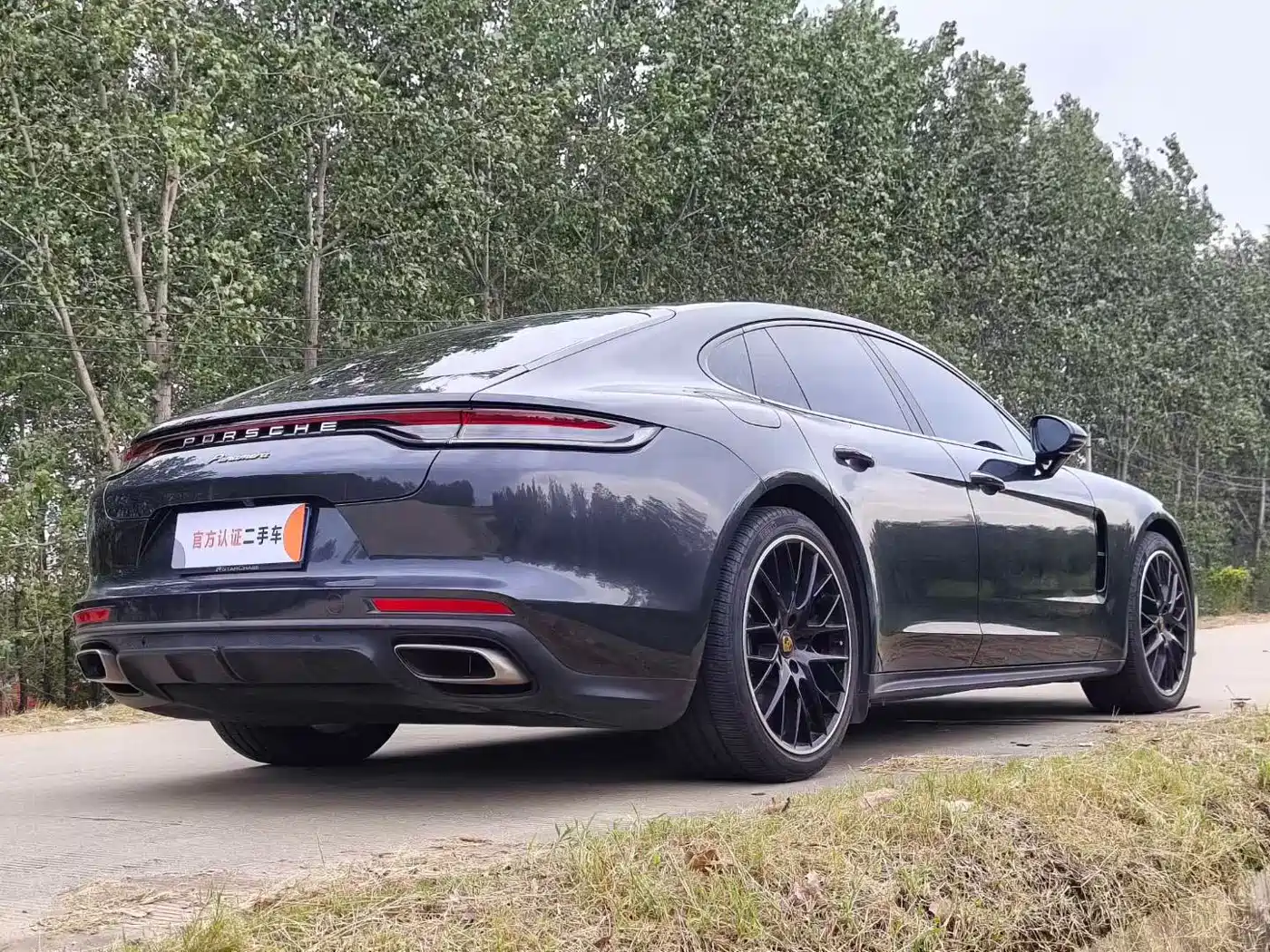 Porsche Panamera 2022 Panamera 2.9T Platinum Edition фото 5