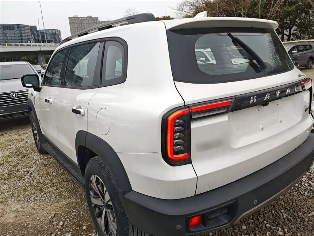Фото 5 - Haval Dargo