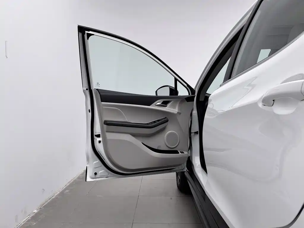BYD Yuan Pro 2022 2021 401KM Premium Model