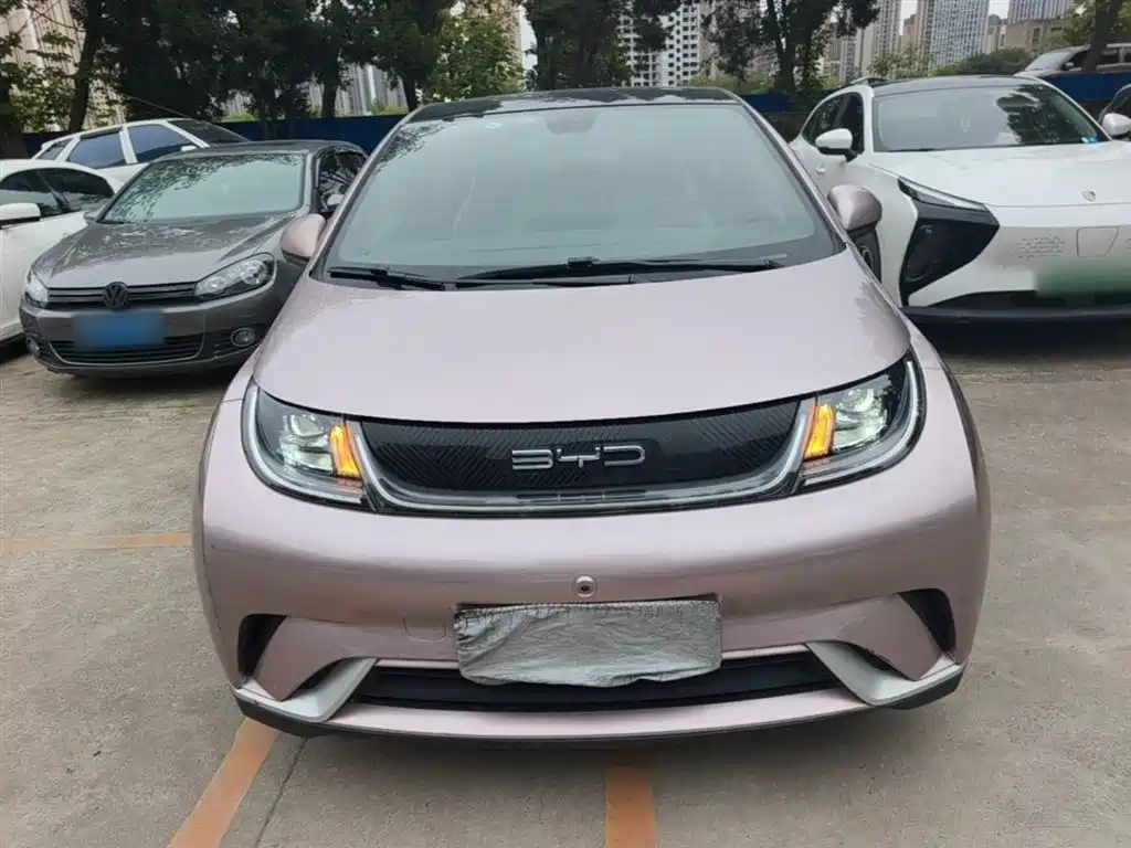 BYD Dolphin 2021 Model 405km Fashion Edition фото 3
