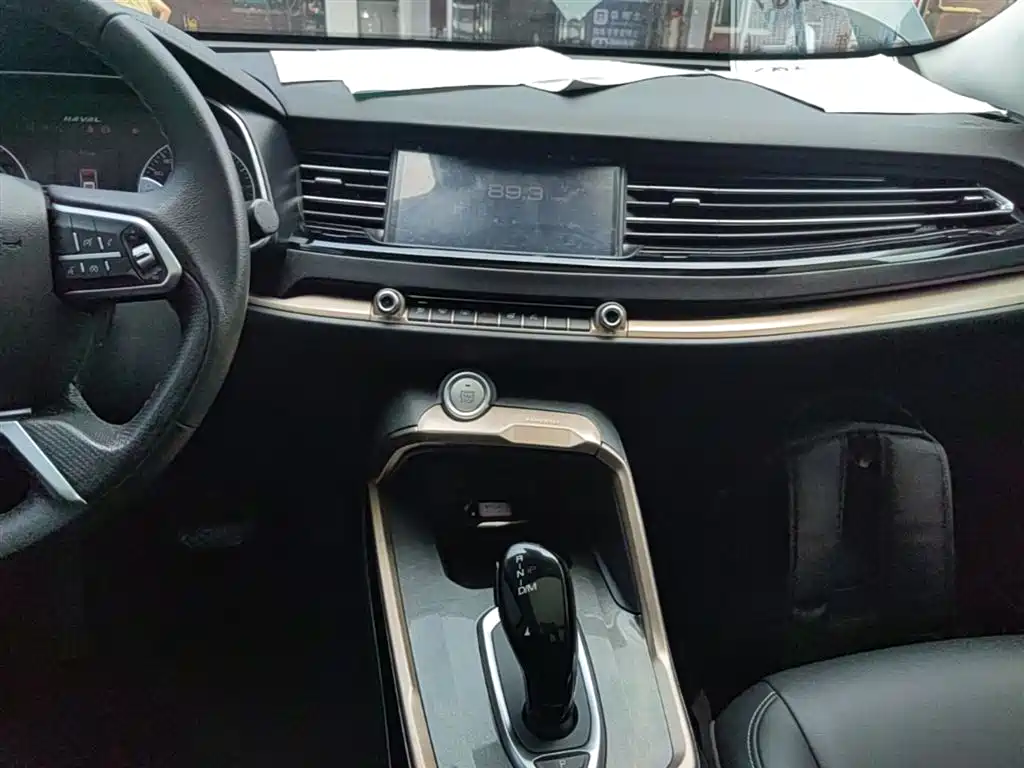 Haval H6 2019 1.5GDIT Automatic Champion Edition China VI фото 13