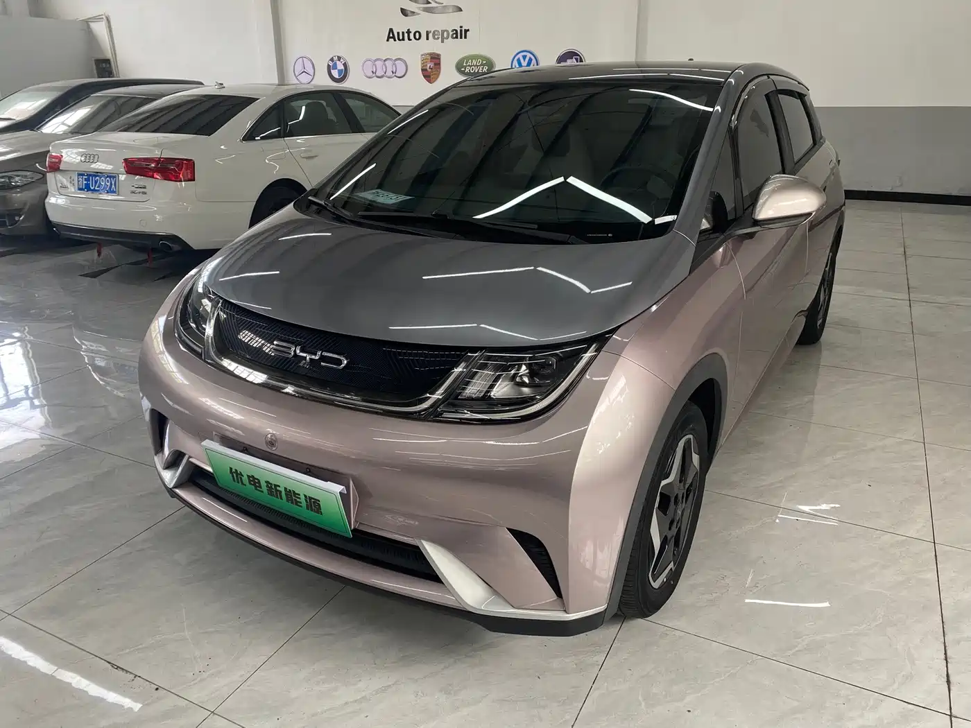 BYD Dolphin 2021 Model 405km Fashion Edition