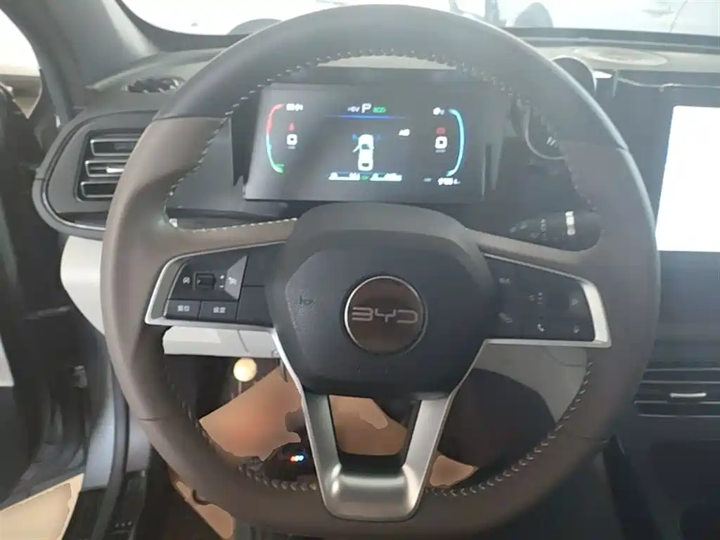 BYD Qin PLUS 2023 Champion Edition DM-i 55KM Leading фото 11