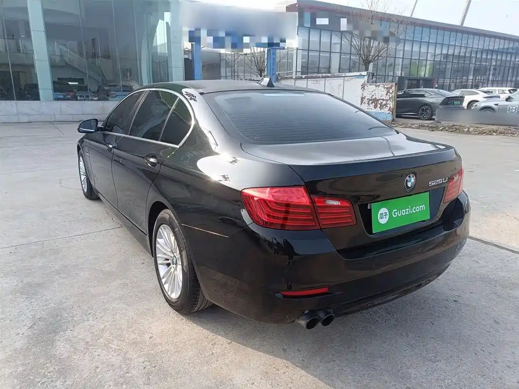 BMW 5 Series 2014 525Li Leading фото 5
