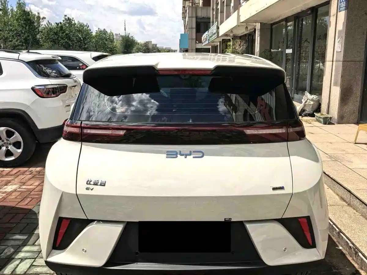 BYD Seagull 2025 Smart Drive Edition 305km Freedom Version фото 3