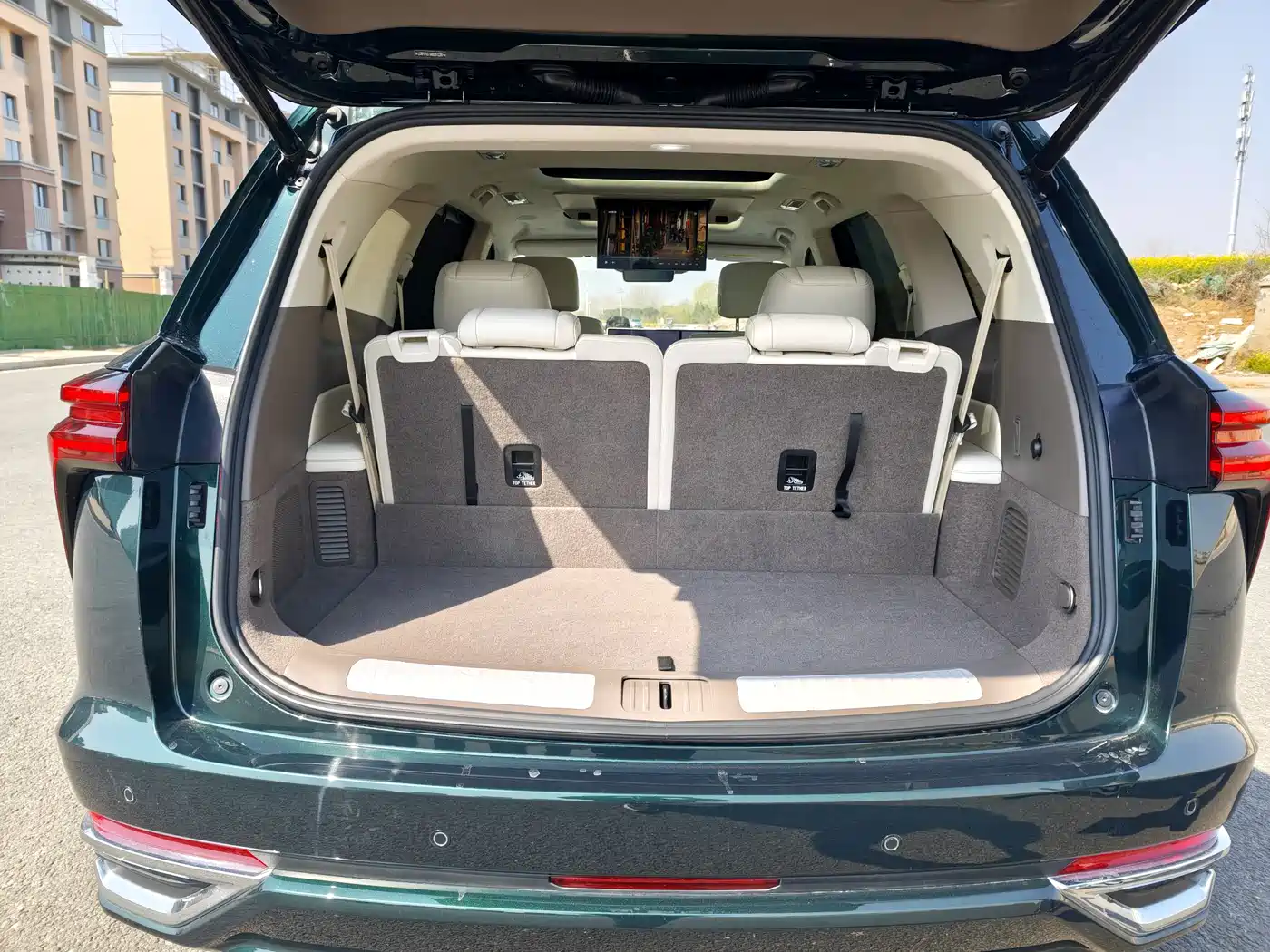 WEI PAI WEI BRAND BLUE MOUNTAIN