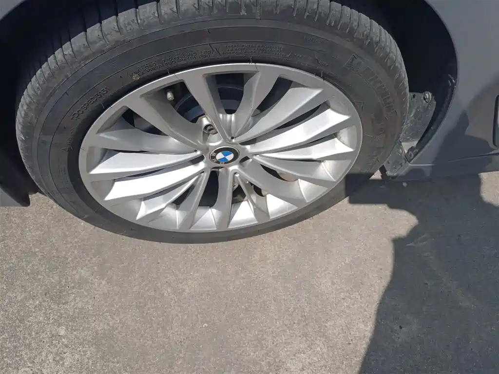 BMW 5 Series 2018 525Li Luxury Package фото 23