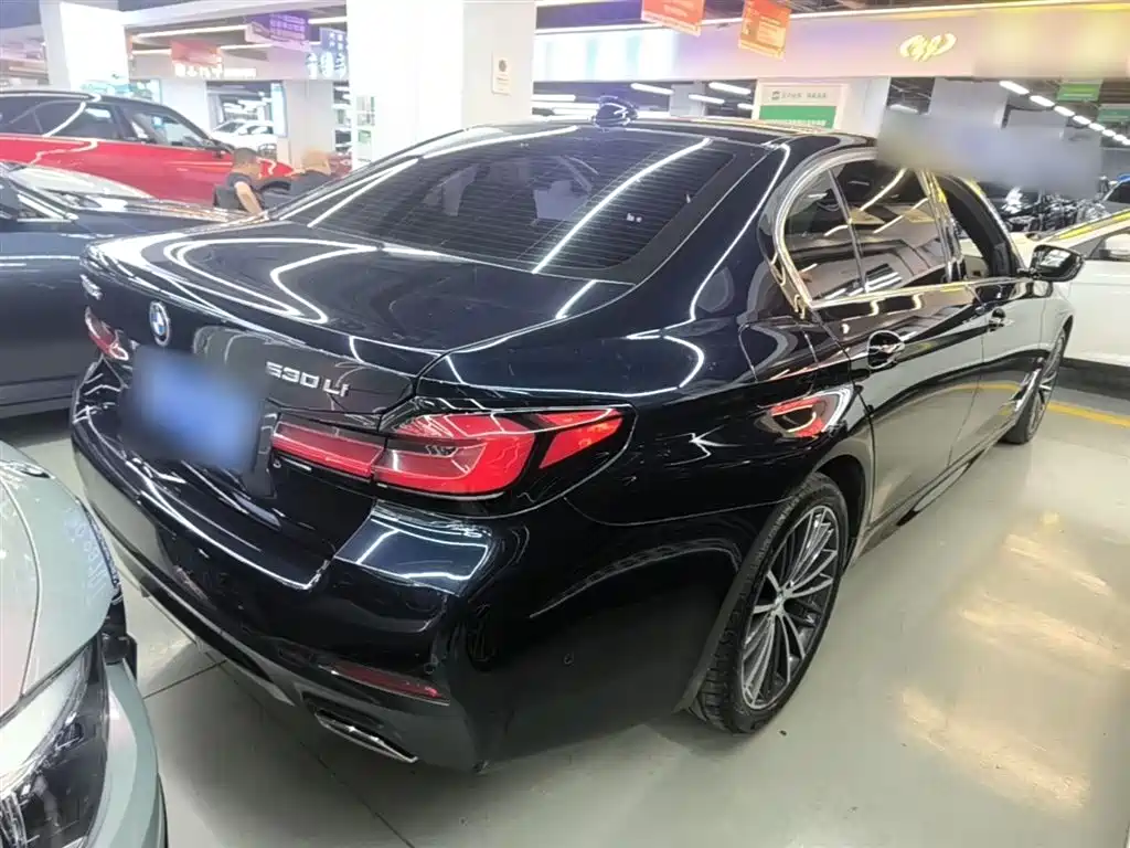 BMW 5 Series 2021 530Li Leading M Sport Package фото 7