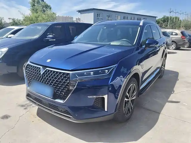  Venucia Venucia Star 2020 260T Automatic 48V Mild Hybrid Turbo Starlight Edition