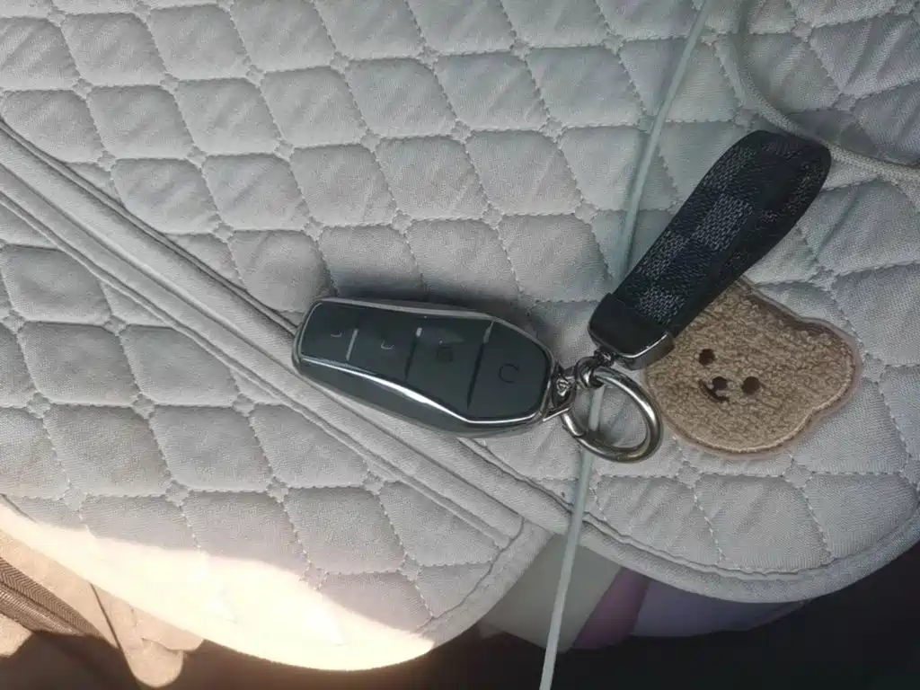 BYD Dolphin 2022 2021 Model 405km Fashion Edition