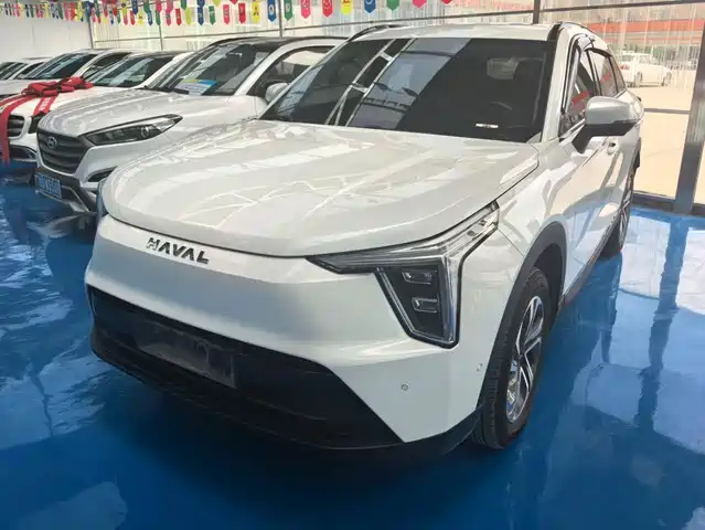  Haval Haval Xiaolong 2023 1.5L 110KM Pilot Edition