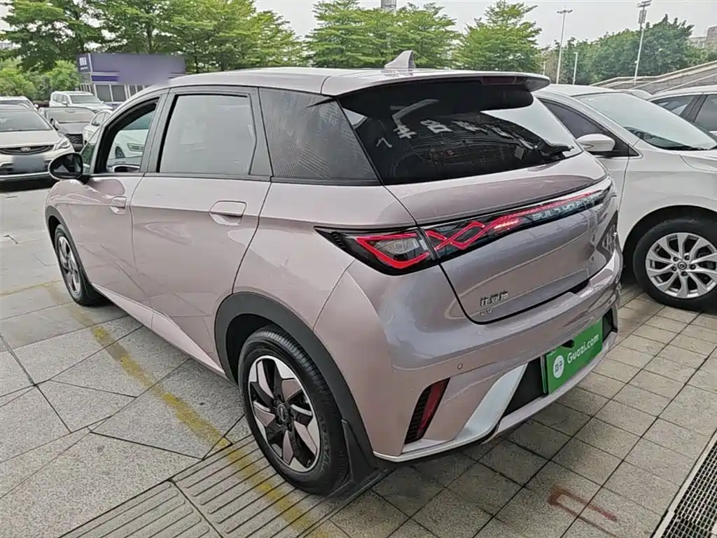 BYD Dolphin 2024 Glory Edition 420km Freedom Edition фото 5