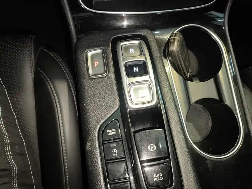 Hyundai Santa Fe 2019 380 TGDi GLS Automatic 2WD Luxury Edition China VI фото 10