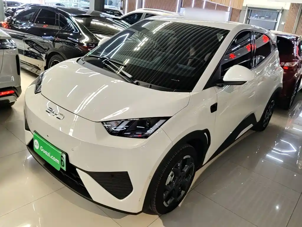 BYD Seagull 2025 Smart Drive Edition 305km Freedom Version