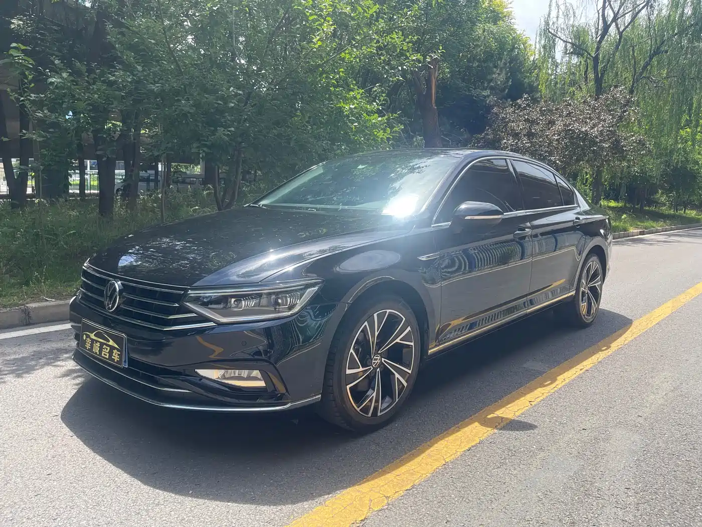 Volkswagen Magotan 2020 330TSI DSG Luxury