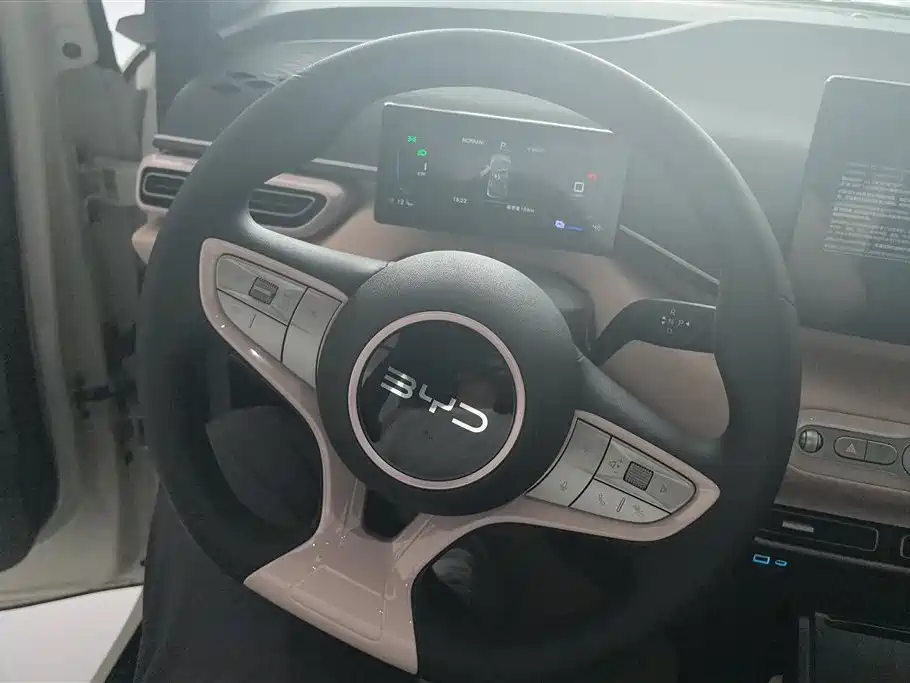 BYD Seagull 2025 Smart Drive Edition 305km Vitality Version фото 15