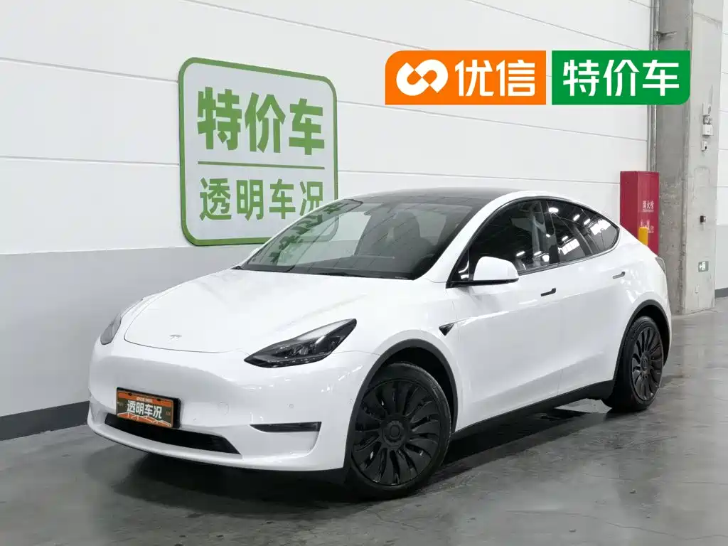 Tesla Model Y 2021 Standard Range Rear-Wheel Drive