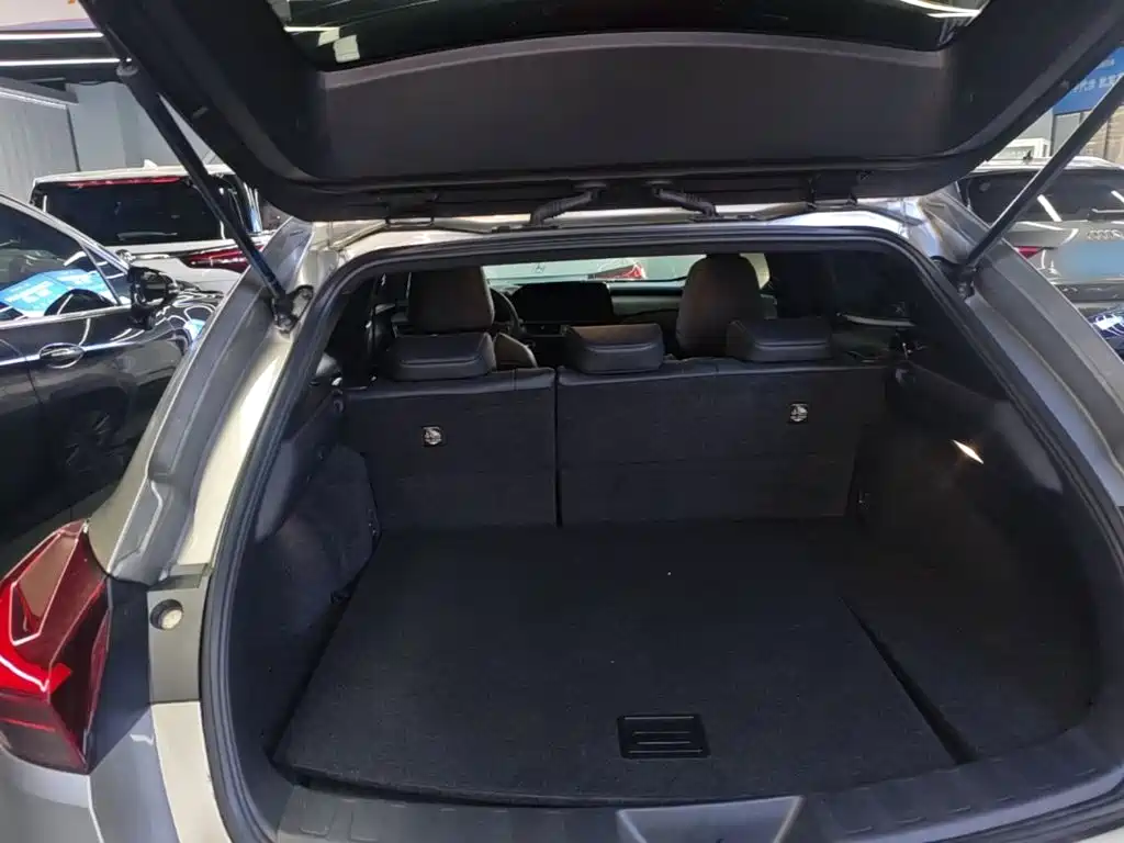 Lexus UX 2023 2022 260h Fun Edition