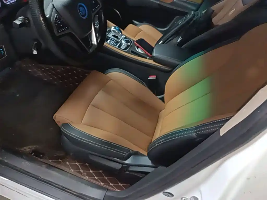 BYD Qin New Energy 2018 1.5T Smart Premium фото 15