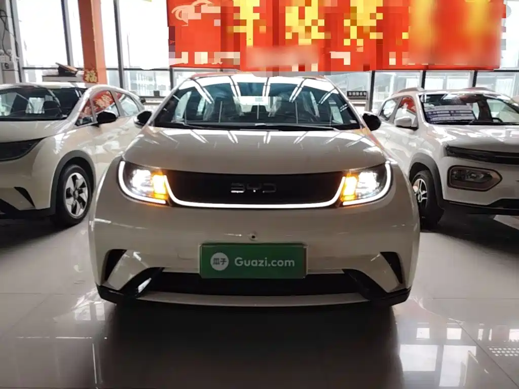 BYD Dolphin 2026 2025 420km Freedom Edition