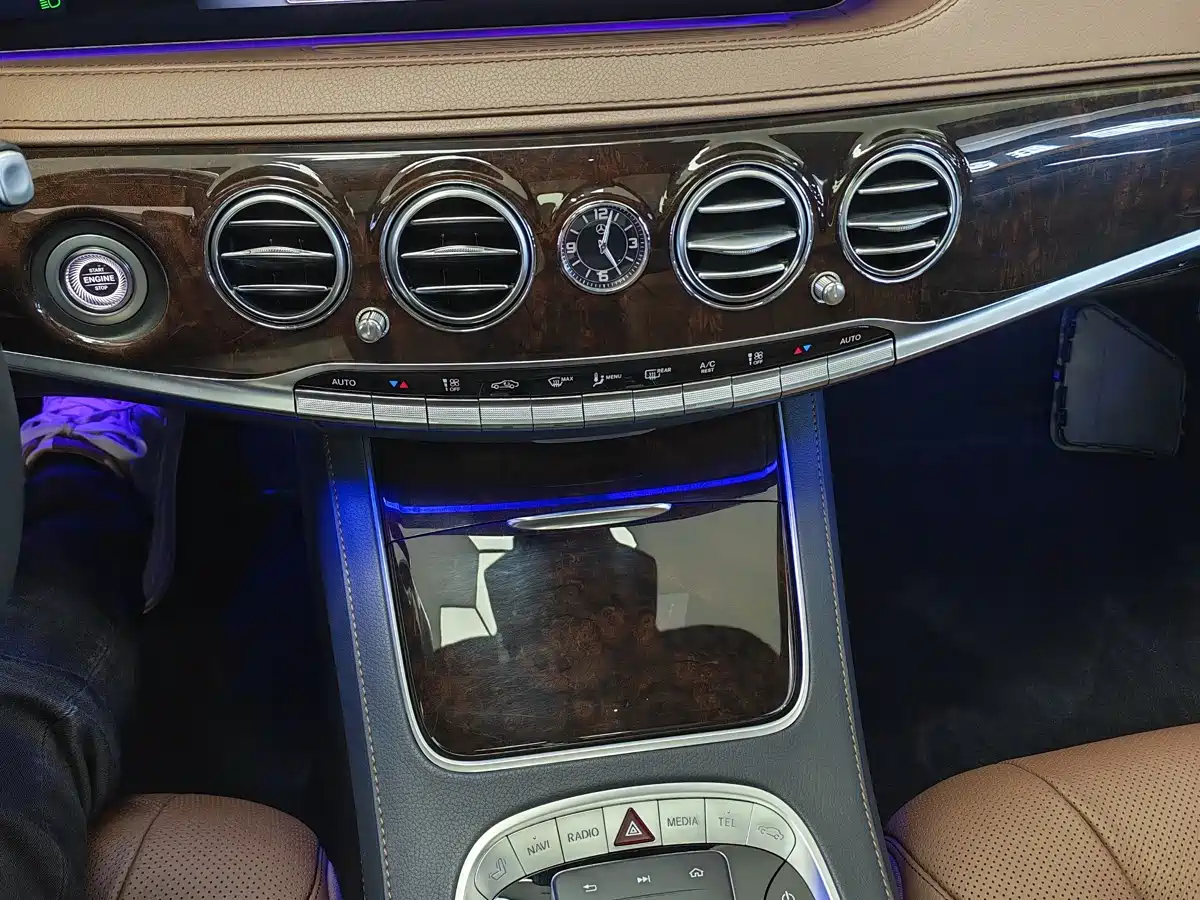Mercedes-Benz S-Class 2020 S 350 L Premium Edition Collector's Version фото 9