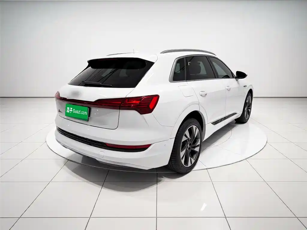 Audi e-tron (Import) 2019 55 quattro Technology фото 6