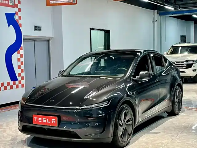 Tesla Model Y 2025 Model Long Range All-Wheel Drive Launch Edition