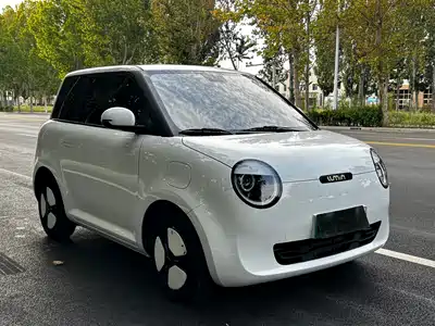 Changan Lumin