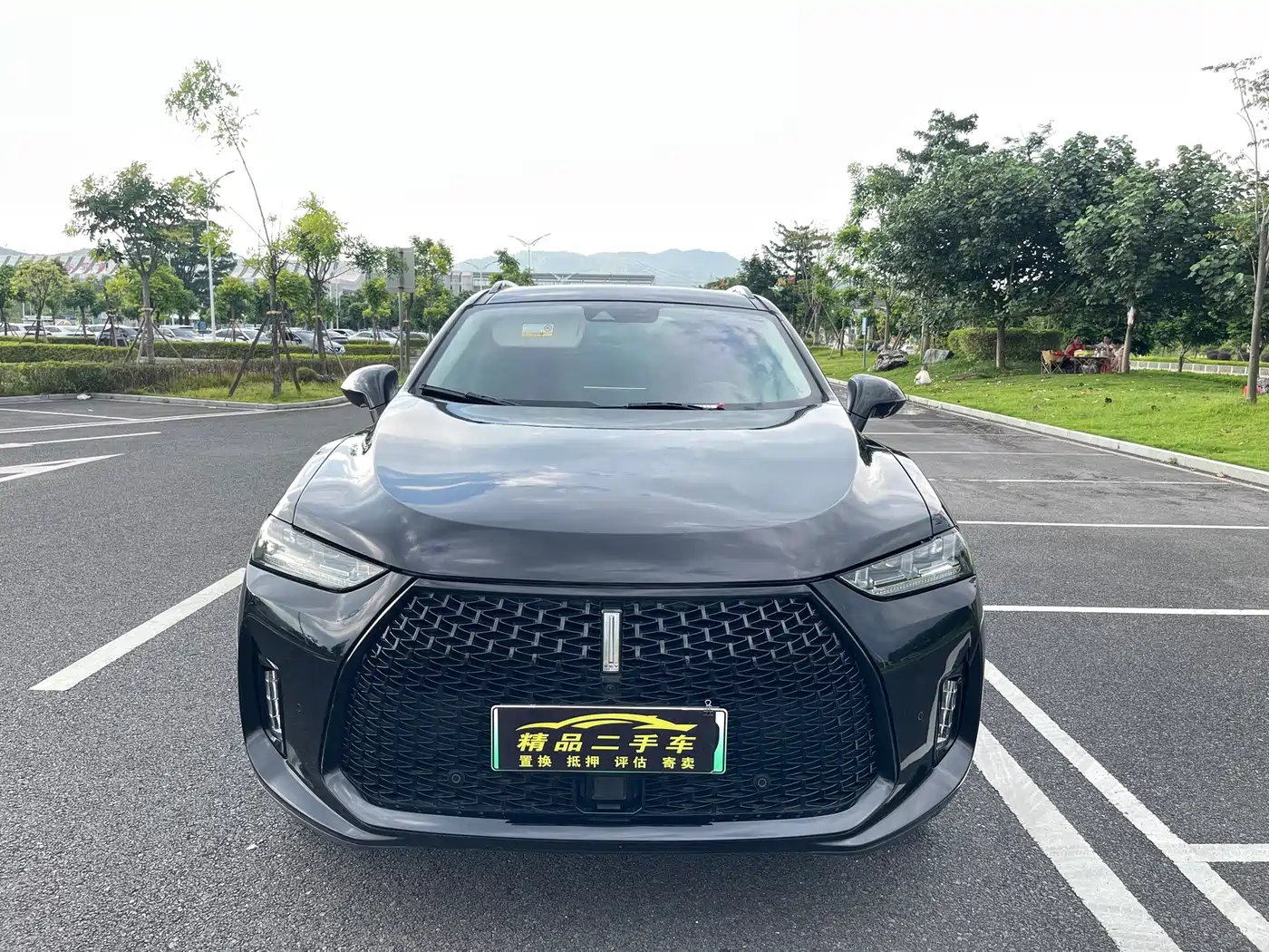 WEY P8 2018 2018 2.0T Exclusive