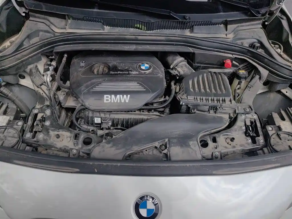 BMW 2 Series Tourer (Import) 2015 218i Leading Type фото 16