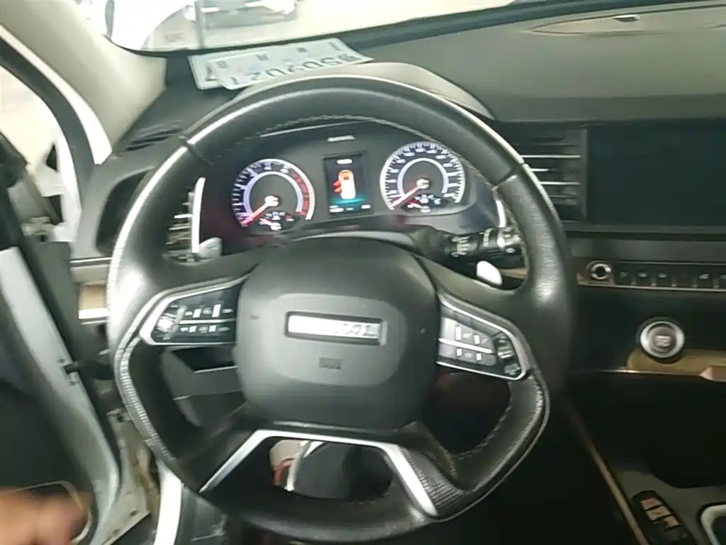 Haval H6 2020 1.5GDIT Automatic Platinum Champion Edition фото 11