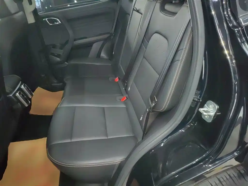 Haval Big Dog 2024 1.5T DCT Border Collie Edition фото 17