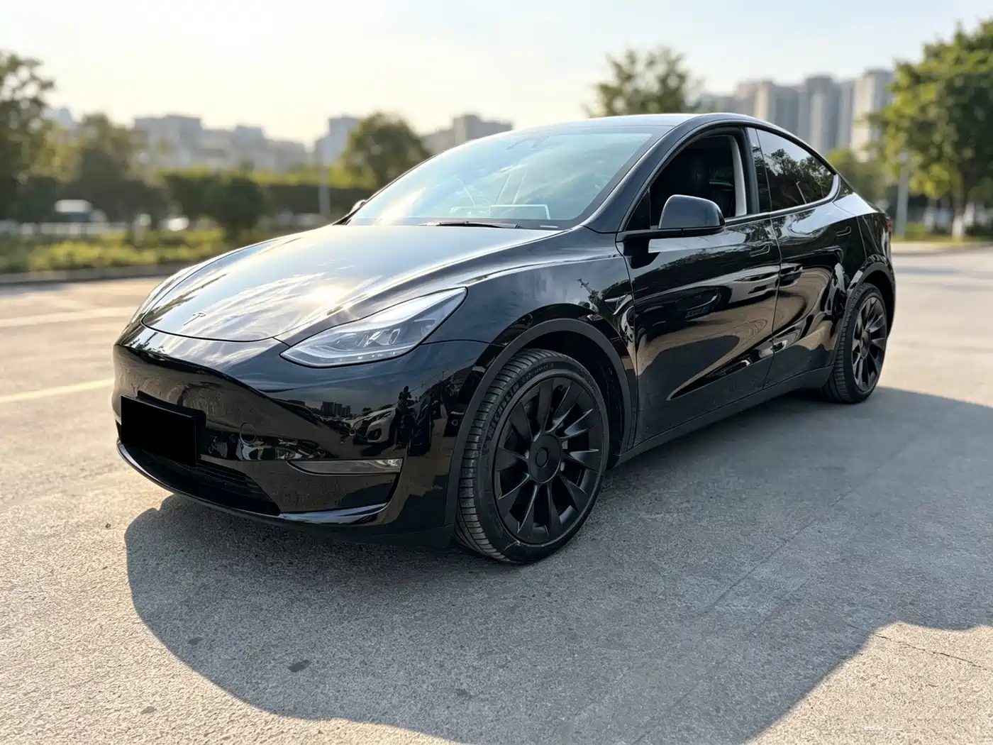 Tesla Model Y 2021 2021 Standard Range Rear-Wheel Drive