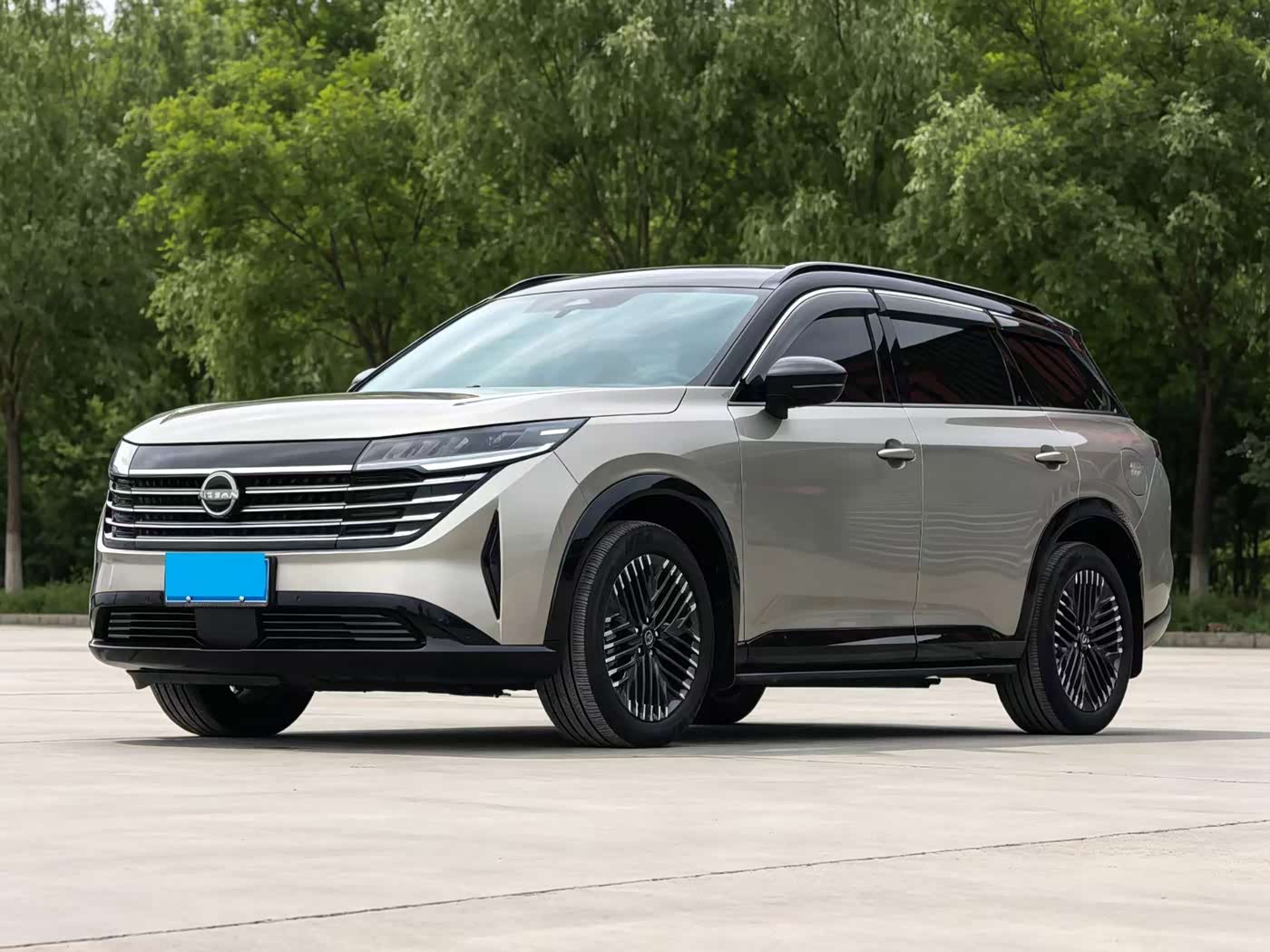 Nissan Terra