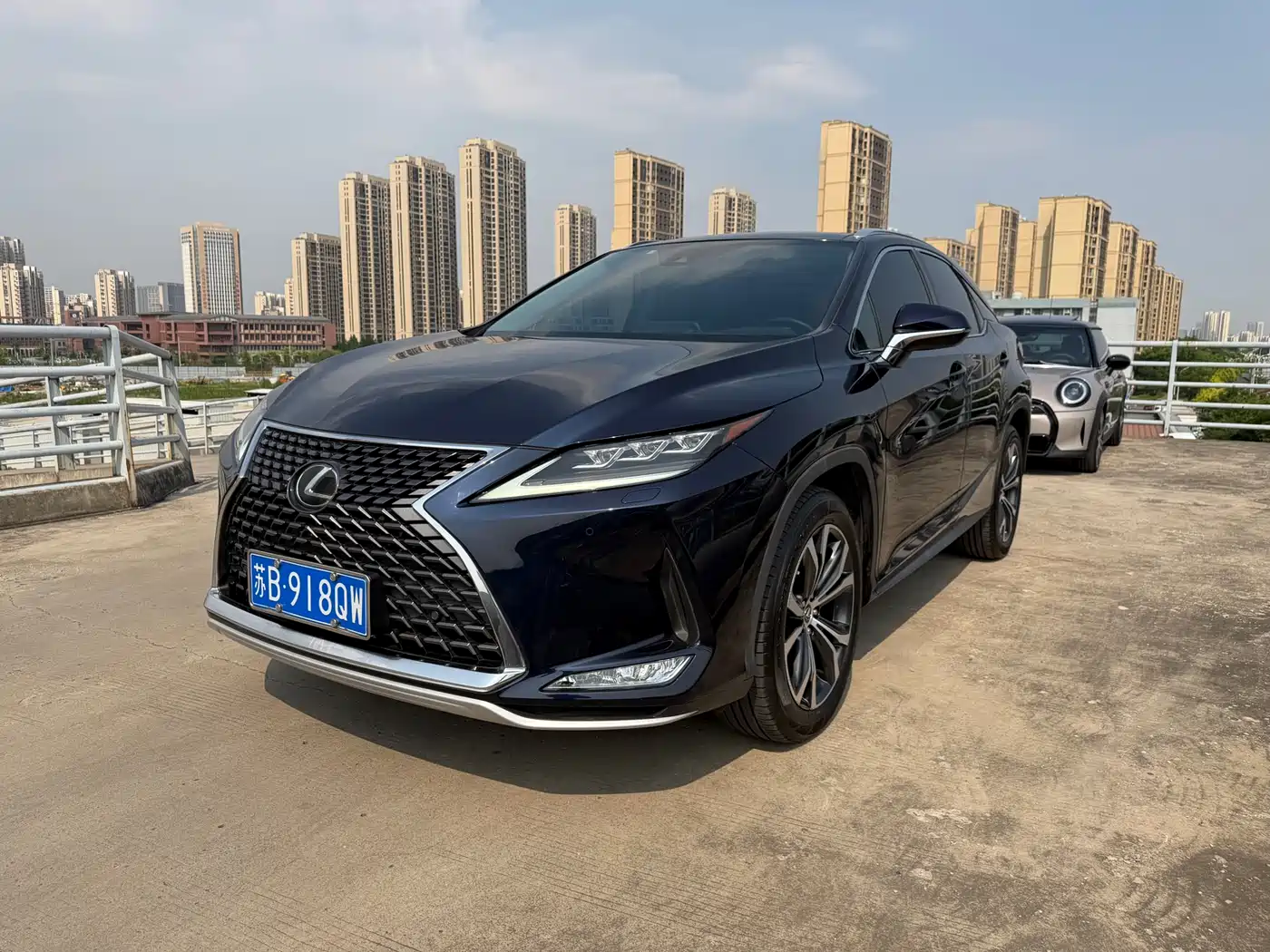 Lexus RX 2020 300 4WD Elegance Edition China VI