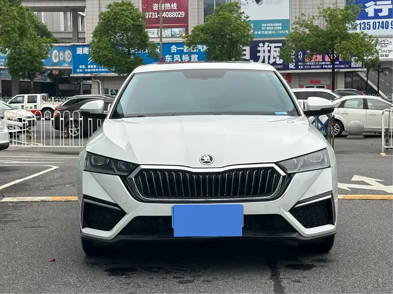 Škoda Octavia 2023 Facelift PRO TSI280 Premium Edition фото 2