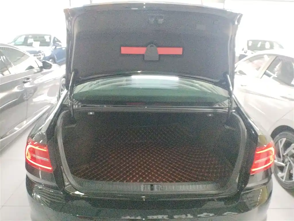 Volkswagen Magotan 2018 330TSI DSG Luxury фото 17