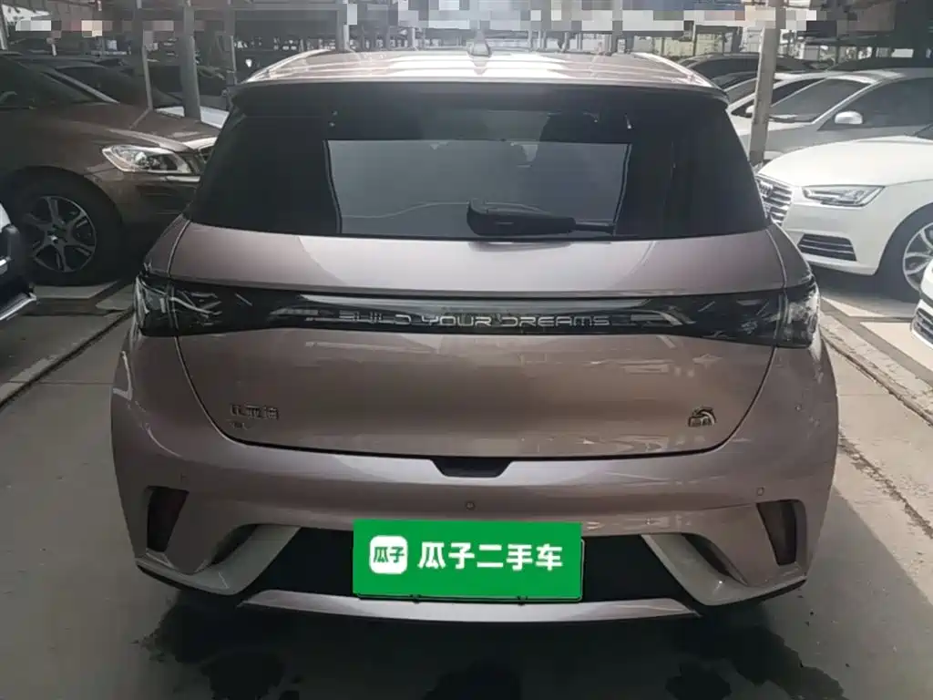 BYD Dolphin 2023 420km Fashion Edition фото 6